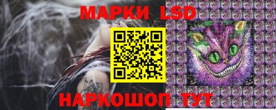ПСИЛОЦИБИНОВЫЕ ГРИБЫ Бийск