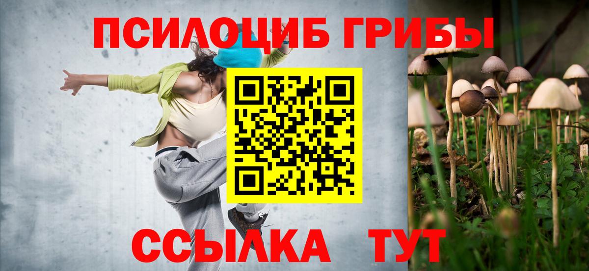 Псилоцибиновые грибы ЛСД Жуковский