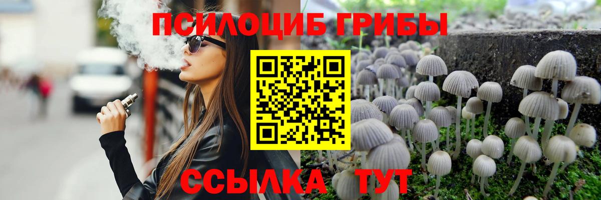 Псилоцибиновые грибы прущие грибы  Вход с VPN  Жуковский 